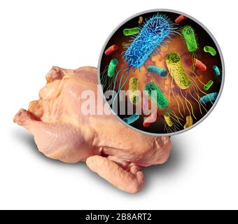 BFoodborne pathogène et bactéries et germes sur la volaille crue et le risque pour la santé d'ingérer les aliments contaminés par e coli ou salmonelles comme un con de sécurité Banque D'Images