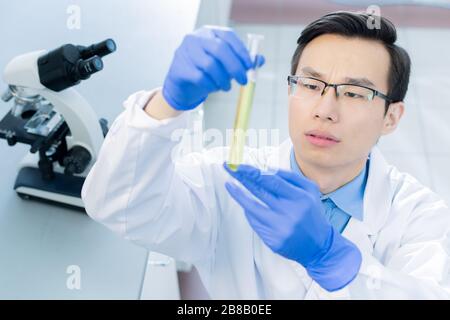 Jeune scientifique chinois sérieux en blancoat, gants et lunettes regardant la fiole avec substance chimique liquide tout en l'étudiant en laboratoire Banque D'Images