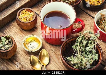 Tasse avec thé utile à partir d'herbes médicinales.ingrédients de thé de fines herbes Banque D'Images