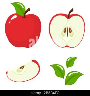 Ensemble de fruits de pomme rouges frais entiers, demi, coupés en tranches et isolés sur fond blanc. Fruits d'été pour un style de vie sain. Fruits biologiques. Carto Illustration de Vecteur