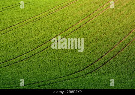 Collines avec des champs pour les fonds appropriés ou d'écran, paysage de saison naturelle. Southern Moravia République Tchèque, Banque D'Images