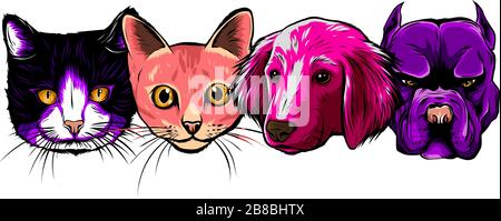 les chiens et les chats sans couture sont confrontés à un vecteur d'arrière-plan coloré Illustration de Vecteur