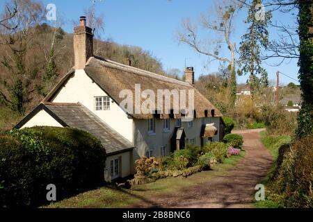 Dunster un petit village pittoresque sur Exmoor dans le nord de somerset UK. Chalet et voie traditionnels en chaume. Banque D'Images