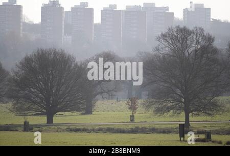 Richmond Park, Londres, Royaume-Uni. 21 mars 2020. Les parcs royaux sont ouverts aux cyclistes et aux piétons, mais avec des cafés intérieurs fermés pendant la crise de Coronavirus. Vue lointaine d'un marcheur de chien sur fond de la propriété Alton, l'un des plus grands sites de conseil des UKs. Crédit : Malcolm Park/Alay Live News. Banque D'Images