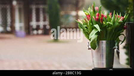 Bouquet de tulipes dans un seau en fer. Fleurs naturelles. Banque D'Images