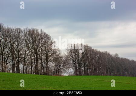 Nuages de pluie sur les champs et la bande forestière au printemps. Excellent temps pour la culture du blé et des cultures. Commercial, Vente sur un petit pré près de la forêt. Banque D'Images