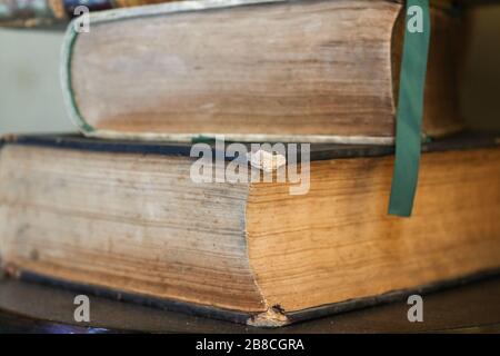 BUCAREST, ROUMANIE - 28 MAI 2017 : gros détail des livres en cuir vintage sur une étagère. Banque D'Images