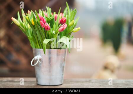 Bouquet de tulipes dans un seau en fer. Fleurs naturelles. Banque D'Images