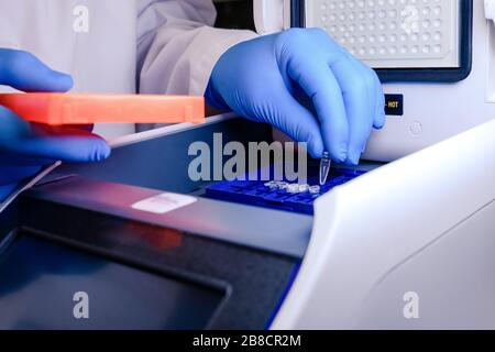 Chargement d'un tube d'ADN dans une machine thermocycleur PCR (réaction en chaîne de la polymérase) dans un laboratoire de bioscience. Concept de science, laboratoire et étude de Banque D'Images