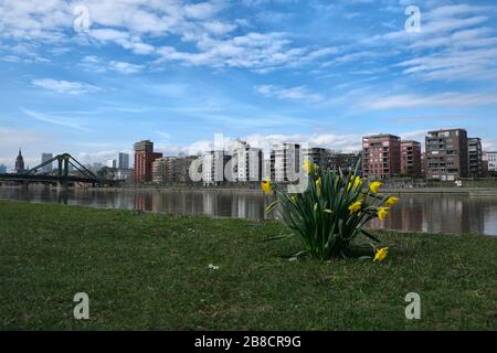 Europa, Allemagne, Hessen, Rhein-Main, Francfort-sur-le-Main, Eiserner Steg, Blick auf die Frankfurter Skyline, Weseler Werft, Neubaugebiet, Penthouse Wohnu Banque D'Images