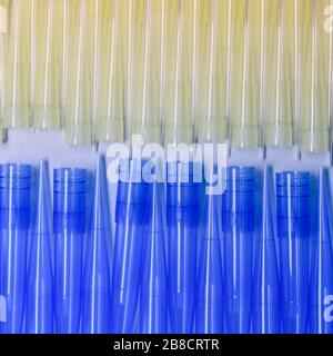 Pointes de pipettes de laboratoire universelles bleues et jaunes. Concept de matériel scientifique et de laboratoire. Banque D'Images