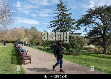 Streatham, Londres, Royaume-Uni. 21 mars 2020. La vie quotidienne à Streatham Common au milieu de la pandémie de coronavirus dans le sud de Londres, en Angleterre. Crédit: SAM Mellish / Alay Live News Banque D'Images