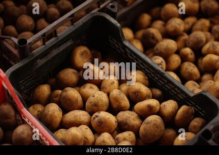 Pommes de terre pelées brunes sales dans des boîtes en plastique. Banque D'Images