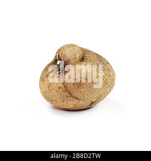 Dioscorea, Mun-NEB (mot thaïlandais), Dioscorea tuck frais, Dioscorea slats racine isolée sur fond blanc, Rubeola fotografie Banque D'Images