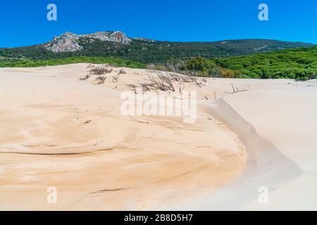 Playa de Bolonia, province de Cadix, Espagne, Europe Banque D'Images