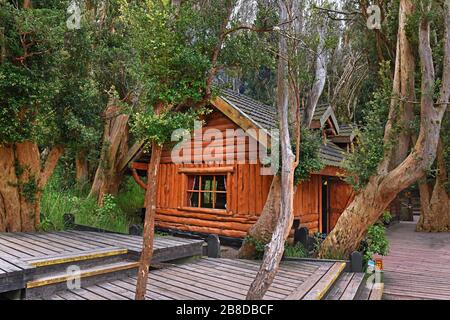 Petite cabane dans la forêt d'arrayanes/Parc national d'Arrayanes sur la rive du lac Nahuel Huapi, Argentine Banque D'Images