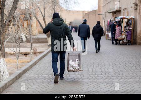 Homme transportant une cage de pigeon à vendre dans la rue dans la vieille ville de Khiva, ouzbékistan Banque D'Images