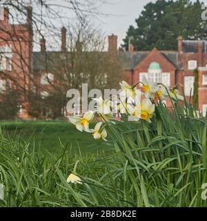 Printemps de St Pauls Walden Bury Banque D'Images