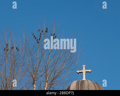 Clocher de l'église orthodoxe grecque Ayia Efimia, Kadikoy, Istanbul, Turquie Banque D'Images