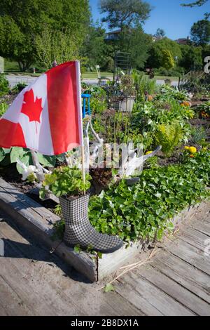 Dans un jardin fait à la mémoire de ceux que nous avons aimés et qui sont passés, la botte de la personne et le drapeau canadien y planta... Banque D'Images