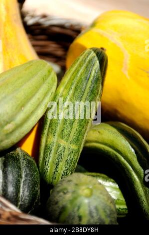 Gros plan sur les concombres de Santorin. Banque D'Images