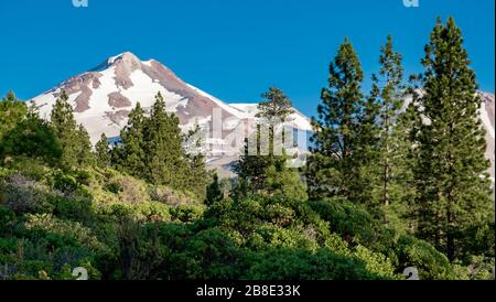 États-Unis, Californie, Comté de Siskiyou. La face nord du Mt. Shasta. Banque D'Images