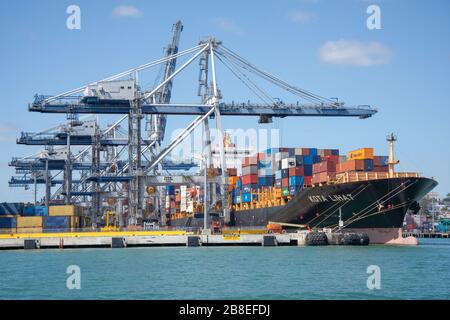 Bateau à conteneurs au port d'Auckland, Waitemata Harbour, Auckland, Nouvelle-Zélande Banque D'Images