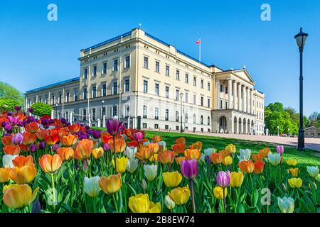 Fleurs devant le château royal d'Oslo Banque D'Images