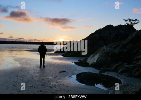 Silhouette d'un seul homme regardant le coucher du soleil sur la plage rocheuse de la côte ouest du Canada Banque D'Images