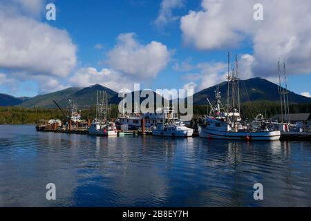 Bateaux amarrés dans le port d'Ucluelet avec ciel bleu et fond de montagne Banque D'Images