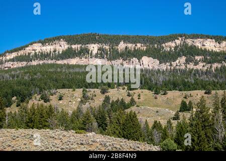 Bighorn National Forrest au Wyoming avec du pin Limber (Pinus flexilis) qui pousse dans les falaises rocheuses en été avec un ciel bleu Banque D'Images