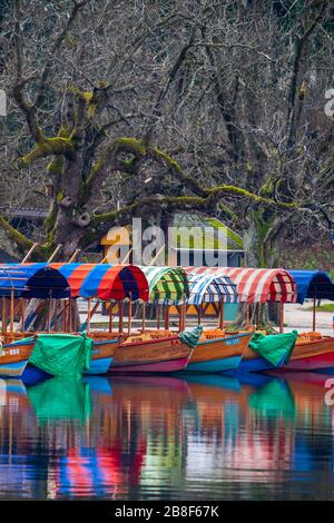 Bateaux traditionnels de pletna. Lac en marbre. Slovénie Banque D'Images