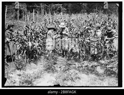 JEUNES SCOUTS. PIQUE-NIQUE À LA MAISON DE MME. HERBERT HOOVER Banque D'Images