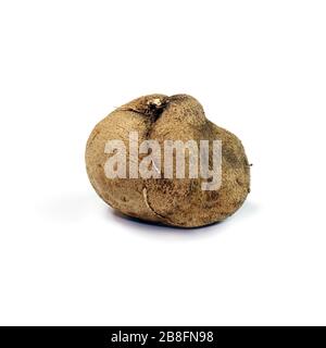 Dioscorea, Mun-NEB (mot thaïlandais), Dioscorea tuck frais, Dioscorea slats racine isolée sur fond blanc, Rubeola fotografie Banque D'Images