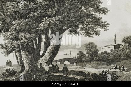 Imperio Otomano. Turquía. Costa europea del Bósforo. Zona de Büyükdere (Buiuk-Dere). Vista del conocido plátano milenario de Godofredo de Bouillón. La tradición cuenta que en su sombra había estado la tienda de Godofredo de Bouillón cuando acamparon los caballeros de la Primera Cruzada. Grabado por Lemaitre, Davin y S. Cholet. Historia de Turquía, por Joseph Marie Jouannin (1783-1844) et Jules Van Gaver. Panorama universel, edición española de 1840. Banque D'Images