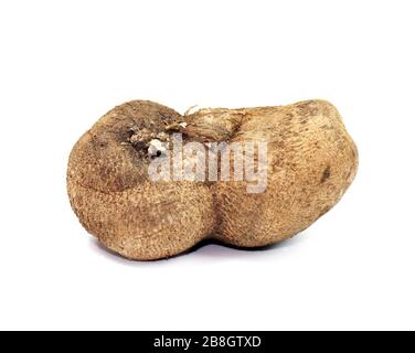 Dioscorea, Mun-NEB (mot thaïlandais), Dioscorea tuck frais, Dioscorea slats racine isolée sur fond blanc, Rubeola fotografie Banque D'Images