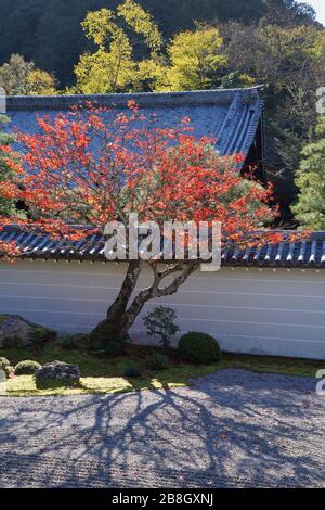 Jardin japonais dans le temple de Nanzen-ji à Kyoto au Japon Banque D'Images