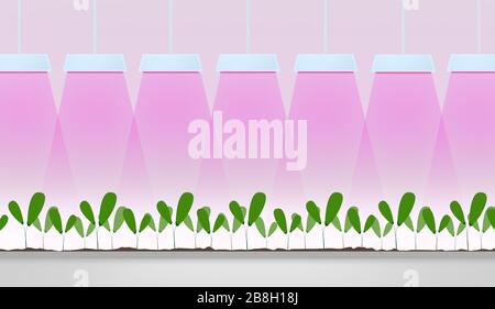 Technologies modernes et agriculture. Illustration avec lampes et plantes vertes en serre Banque D'Images