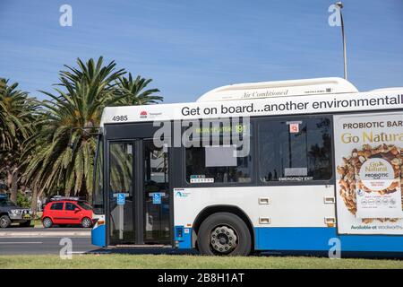 Bus de Sydney Banque D'Images