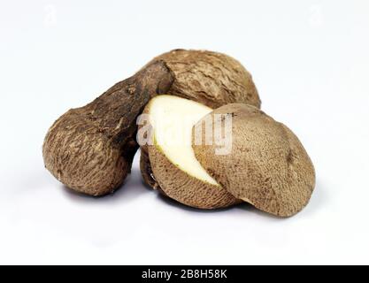 Dioscorea, Mun-NEB (mot thaïlandais), Dioscorea tuck frais, Dioscorea slats racine isolée sur fond blanc, Rubeola fotografie Banque D'Images
