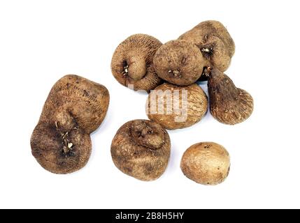 Dioscorea, Mun-NEB (mot thaïlandais), Dioscorea tuck frais, Dioscorea slats racine isolée sur fond blanc, Rubeola fotografie Banque D'Images