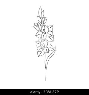 Gladiolus fleur sur blanc Illustration de Vecteur