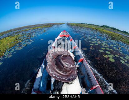 Croisière dans le lac, en allant tout droit vers l'avant, en naviguant dans l'étang avec l'eau bouillante, le soleil de l'après-midi, le ciel est bleu foncé. Banque D'Images