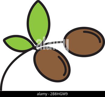 concept d'icône vectorielle de plante de branche d'olives, isolé sur fond blanc Illustration de Vecteur