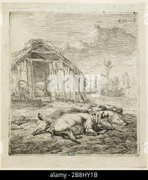 Trois cochons se trouvant devant la grange (Dutuit 8) Karel Dujardin (1622-1678). Les trois cochons nés devant l'étable (Dutuit 8). Eau-forte, 1652. Musée des Beaux-Arts de la Ville de Paris, petit Palais. Banque D'Images