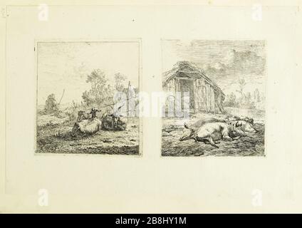 La chèvre et deux brebis et les trois cochons qui se trouvent devant la grange, deux empreintes sur la même feuille (Dutuit 7 et 8) Karel Dujardin (1622-1678). La chèvre et les deux couchons devant l'étable, de deux etampes sur la même feuille (Dutuit 7 et 8). Eau-forte, 1658. Musée des Beaux-Arts de la Ville de Paris, petit Palais. Banque D'Images