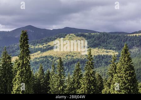 Vue depuis la route N-18 près de la montagne Prislop passez à la frontière des régions de Maramures et de Bukovina dans les montagnes de Rodna dans les Carpates orientales, Roumanie Banque D'Images