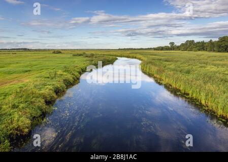 Rivière Biebrza dans le village de Dolistowo Stare, en bordure du parc national de Biebrza à Podlaskie Voivodeship, en Pologne Banque D'Images