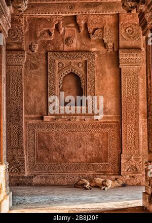 JAMA-Masjid-Mosque à Fatehpur Sikri, Uttar Pradesh, Inde Banque D'Images