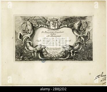 Divers espèces de Poissons d'eau douce dés M. Fouquet [...] par son très humble serviteur AB Flamen, titre (Robert-Dumesnil 451, Bartsch 37) Albert Flamen (1620-1674). Diverses espèces de poissons d'eau douce dés à Monsieur Fouquet [...] par son fils très humble serviteur AB Flamen, Titer (Robert-Dumesnil 451, Bartsch 37). Eau-forte, XVIIème siècle. Musée des Beaux-Arts de la Ville de Paris, petit Palais. Banque D'Images